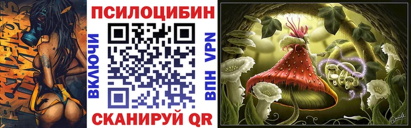 цены   Дмитровск  кракен онион  Галлюциногенные грибы Psilocybine cubensis 